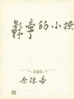 影帝的小撩精太野了