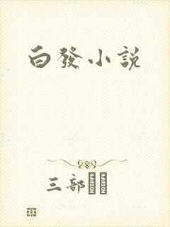 白发小说
