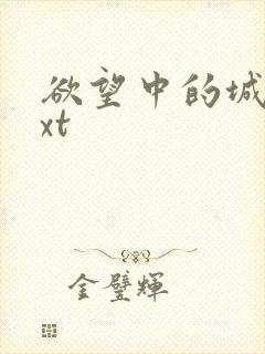 欲望中的城市txt