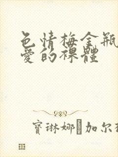 色情梅金瓶2之爱的裸体