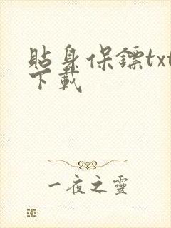 贴身保镖txt下载