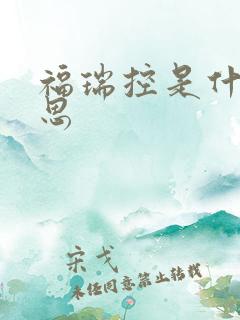 福瑞控是什么意思