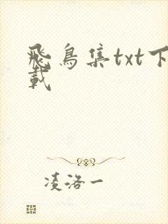 飞鸟集txt下载