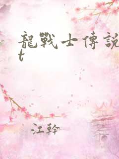 龙战士传说txt