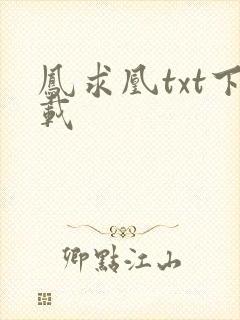 凤求凰txt下载