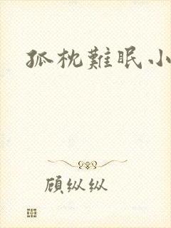 孤枕难眠小说