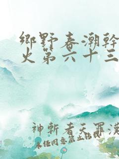 乡野春潮干柴烈火第六十三章