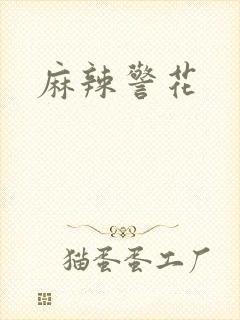 麻辣警花