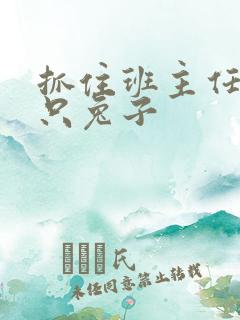 抓住班主任的两只兔子