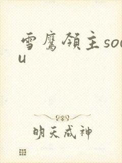 雪鹰领主sodu