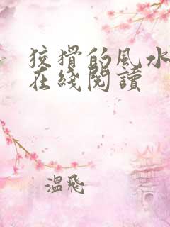 狡猾的风水相师在线阅读