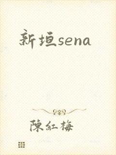 新垣sena