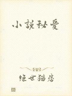 小说秘爱
