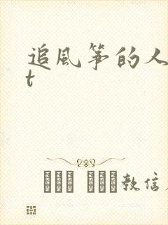 追风筝的人txt