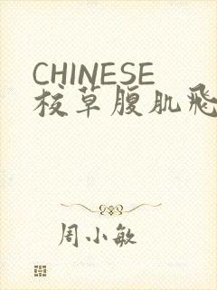 CHINESE校草腹肌飞机视频