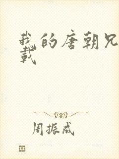 我的唐朝兄弟下载