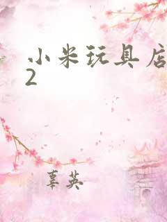 小米玩具店老板2