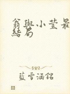 翁与小莹最新大结局