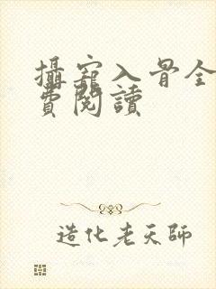 摄宠入骨全文免费阅读