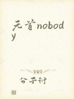 元首nobody