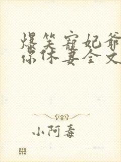 爆笑宠妃爷我等你休妻全文免费阅读