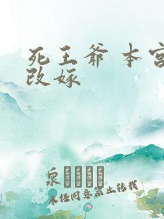 死王爷 本宫已改嫁