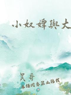 小奴婢与大少爷