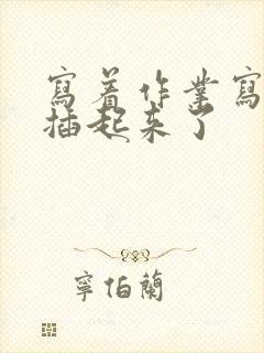 写着作业写着就插起来了