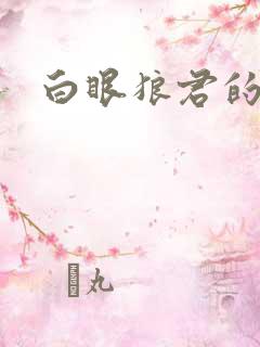 白眼狼君的小说