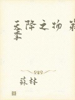 天降之物 第一季