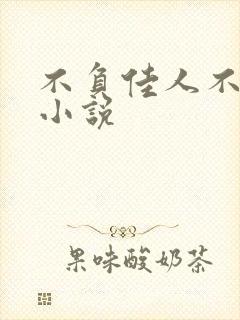 不负佳人不负卿小说