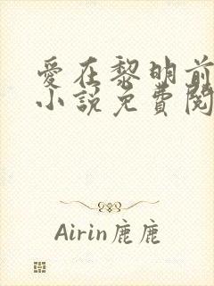 爱在黎明前降落小说免费阅读