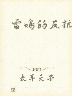 雷鸣的反抗者