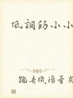 低调的小小宫女