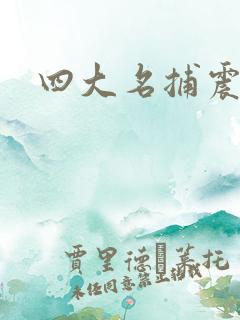 四大名捕震关东