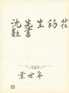 沈先生的花式调数书