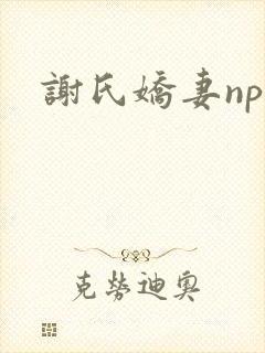 谢氏娇妻nph