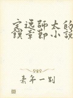 定逸师太的肉夹馍章节小说