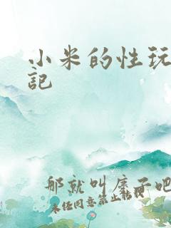 小米的性玩具日记