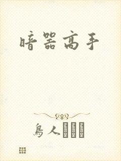 暗器高手