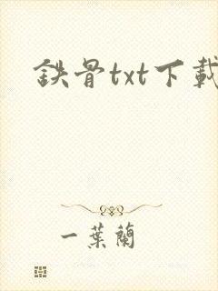 铁骨txt下载