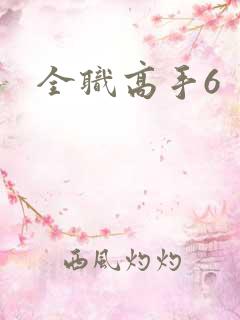 全职高手6