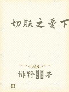 切肤之爱下载