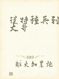 从特种兵到黑道大哥