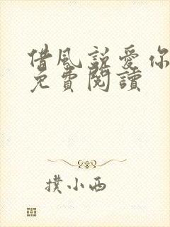 借风说爱你小说免费阅读