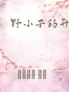 野小子的升官路