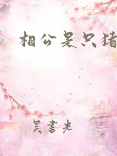 相公是只猪