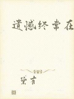 遗憾终常在小说