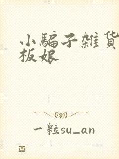 小骗子杂货铺老板娘