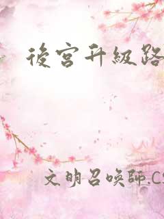 后宫升级路